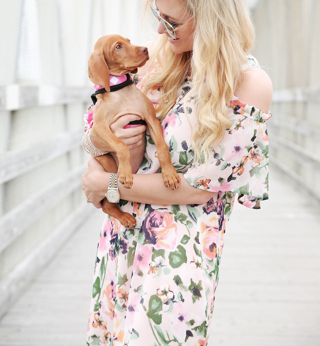 Summer floral dress + Louise the Vizsla puppy
