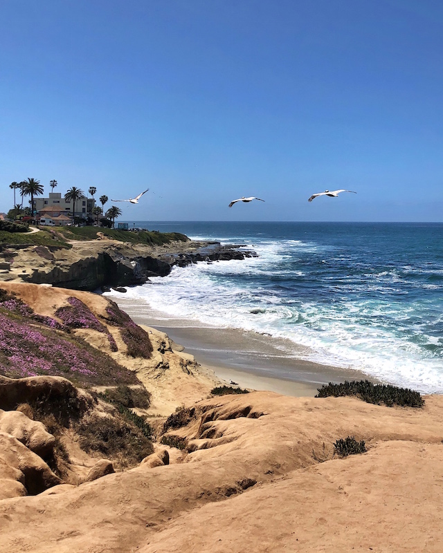 View from cliffs at The Cove in La Jolla, CA