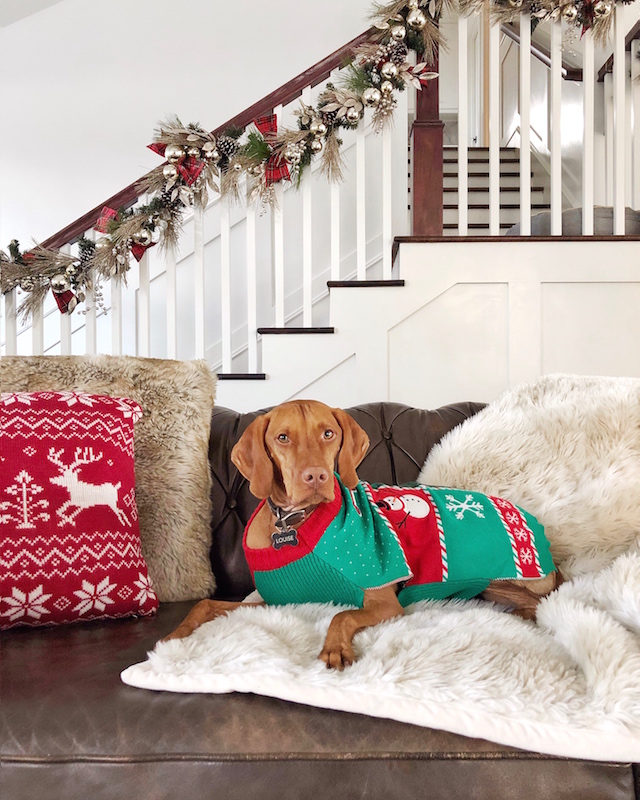 Holiday home decor and Louise the Vizsla | My Style Diaries blogger Nikki Prendergast