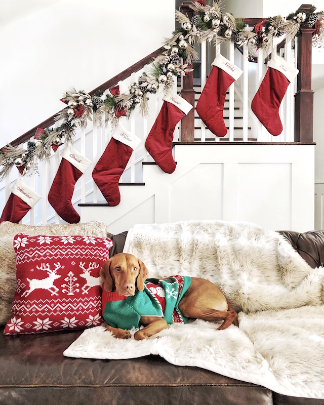 Holiday home decor and Louise the Vizsla | My Style Diaries blogger Nikki Prendergast